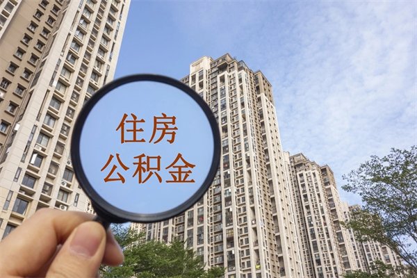 正规个人社保代缴公司-南漳公积金服务平台